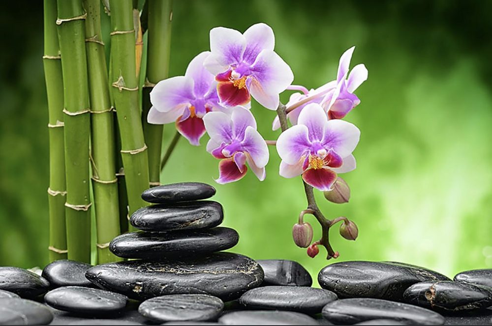 Thai Massage Cardiff - orchids